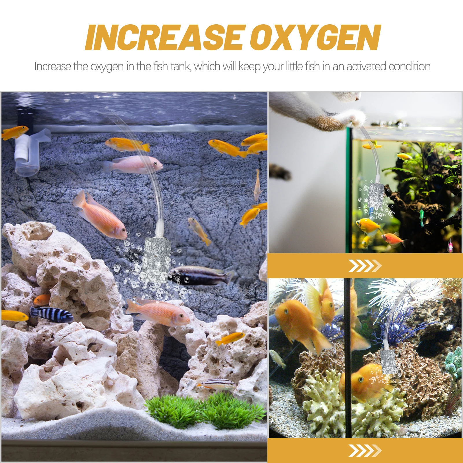Portable USB Oxygen Pump Small Air Bubbler for Fish Tank Aquarium Accessories Outdoor Use Increase Oxygen Silent ABS Material
Portable USB Oxygen Pump Small Air Bubbler for Fish Tank Aquarium Accessories Outdoor Use Increase Oxygen Silent ABS Material