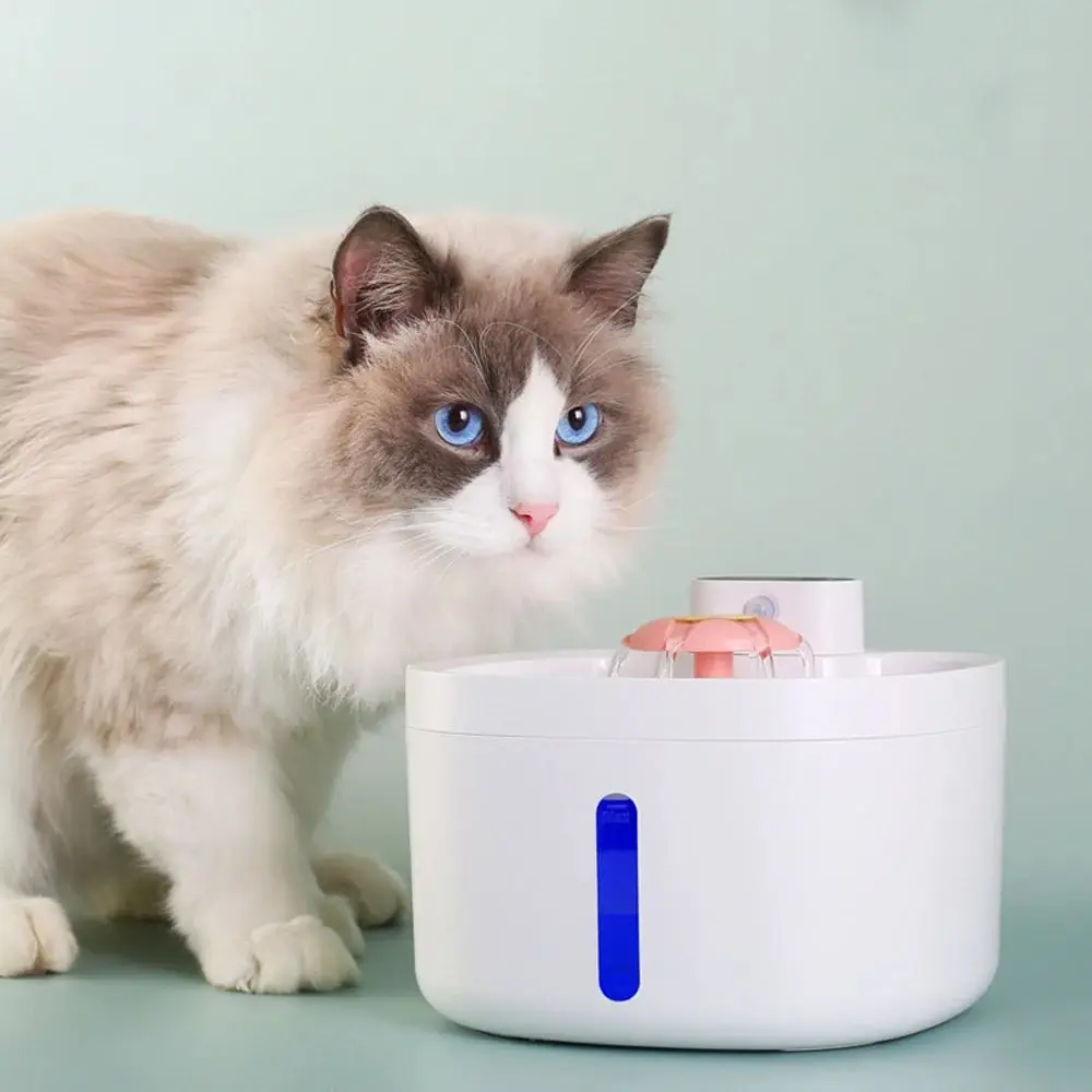 USB With Light Recharging Cat Water Fountain Sensor Dog Dispenser Filter Automatic Drinker Stainless Steel Pet Water Bowl
USB With Light Recharging Cat Water Fountain Sensor Dog Dispenser Filter Automatic Drinker Stainless Steel Pet Water Bowl