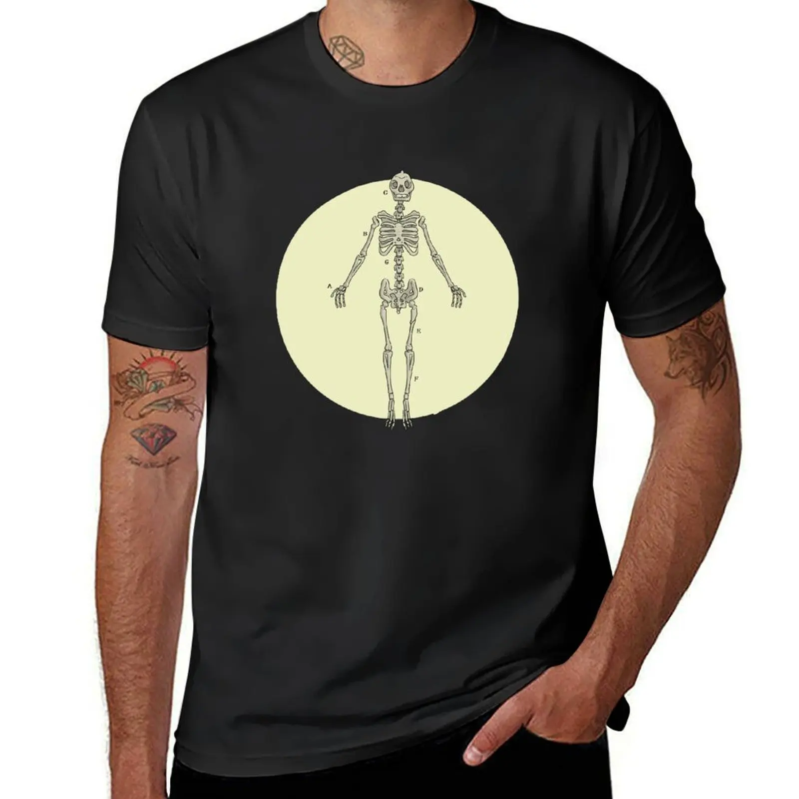 Batrachian Anatomical figure T-Shirt summer tops funny gifts graphic t shirt vintage vintage t shirt men
Batrachian Anatomical figure T-Shirt summer tops funny gifts graphic t shirt vintage vintage t shirt men