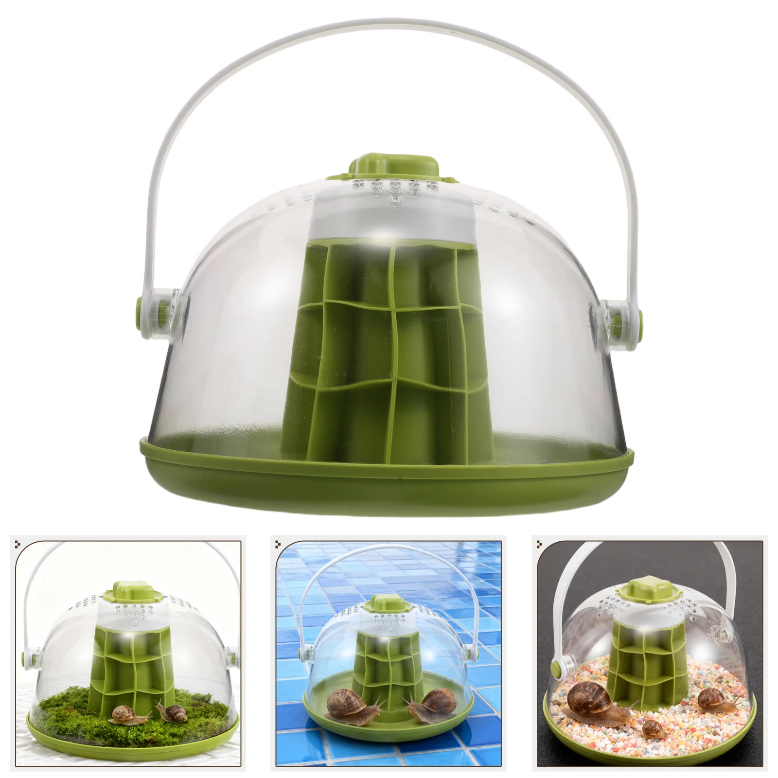 Portable Snail Terrarium 20Cm Transparent Insect Observation Kit for Educational Bug Habitat Starter Breeding Box Micro
Portable Snail Terrarium 20Cm Transparent Insect Observation Kit for Educational Bug Habitat Starter Breeding Box Micro
