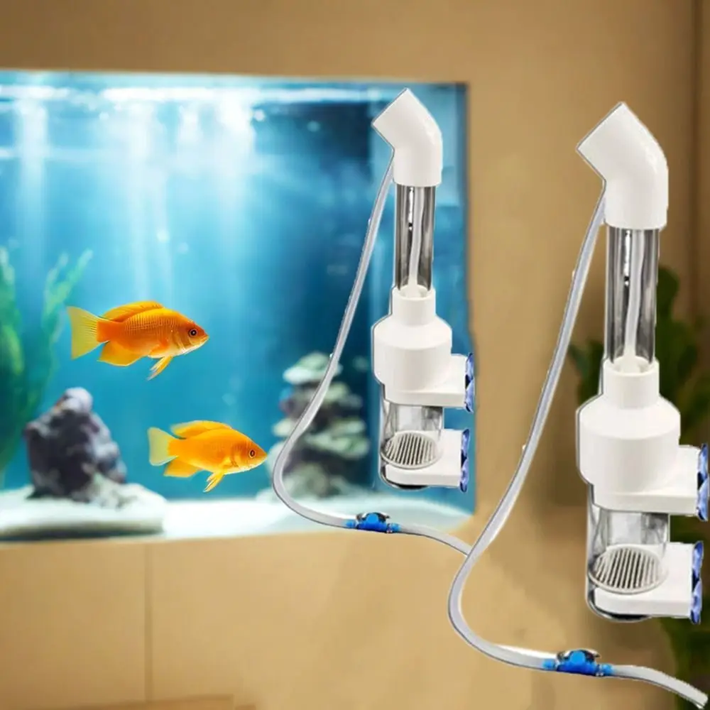 Plastic Fish Egg Incubator White Simulate Natural Incubation Cichlid Instead Mouth Breeder Prevent Fungus Ornamental Fish
Plastic Fish Egg Incubator White Simulate Natural Incubation Cichlid Instead Mouth Breeder Prevent Fungus Ornamental Fish