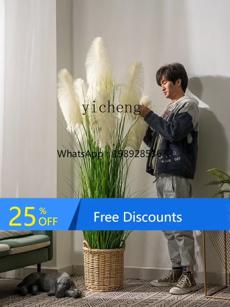 LYY simulated reed grass fake flower tree fake tree indoor living room green plants decorative landscaping ornament
LYY simulated reed grass fake flower tree fake tree indoor living room green plants decorative landscaping ornament