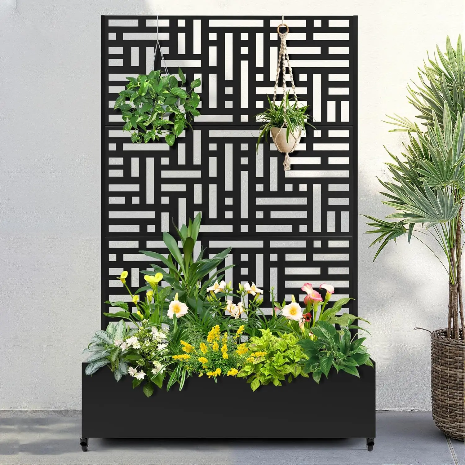 Металлическая садовая кровать с колесиками и решеткой, кашпо размером 73 x 47 x 16 дюймов для вьющихся растений, овощей и лоз, особенности Privac
Металлическая садовая кровать с колесиками и решеткой, кашпо размером 73 x 47 x 16 дюймов для вьющихся растений, овощей и лоз, особенности Privac