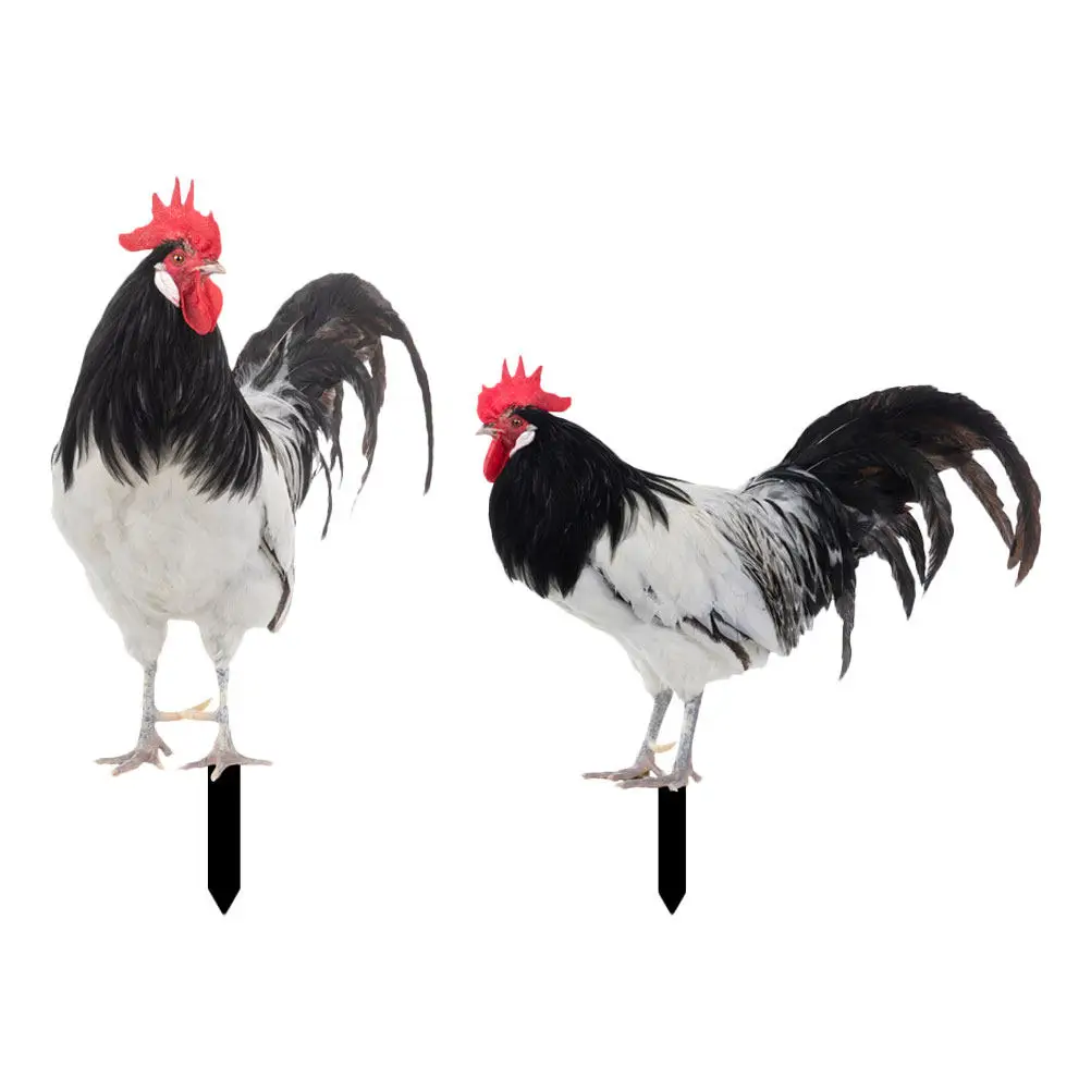 2Pcs Simulation Rooster Yard Stakes Realistic Acrylic Chicken Inserts Outdoor Garden Lawn Decoration Charming Yard Ornaments
2Pcs Simulation Rooster Yard Stakes Realistic Acrylic Chicken Inserts Outdoor Garden Lawn Decoration Charming Yard Ornaments