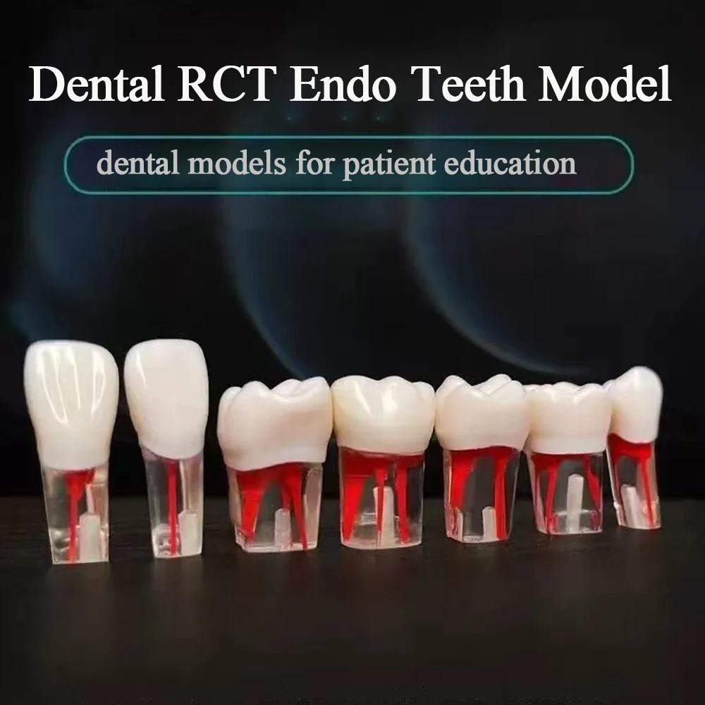 5 шт., стоматологическая модель эндодонтических зубов RCT, эндодонтический блок корневых каналов, пульповая полость, смола, учебная практика, эндодонтическая модель, обучение M8006
5 шт., стоматологическая модель эндодонтических зубов RCT, эндодонтический блок корневых каналов, пульповая полость, смола, учебная практика, эндодонтическая модель, обучение M8006