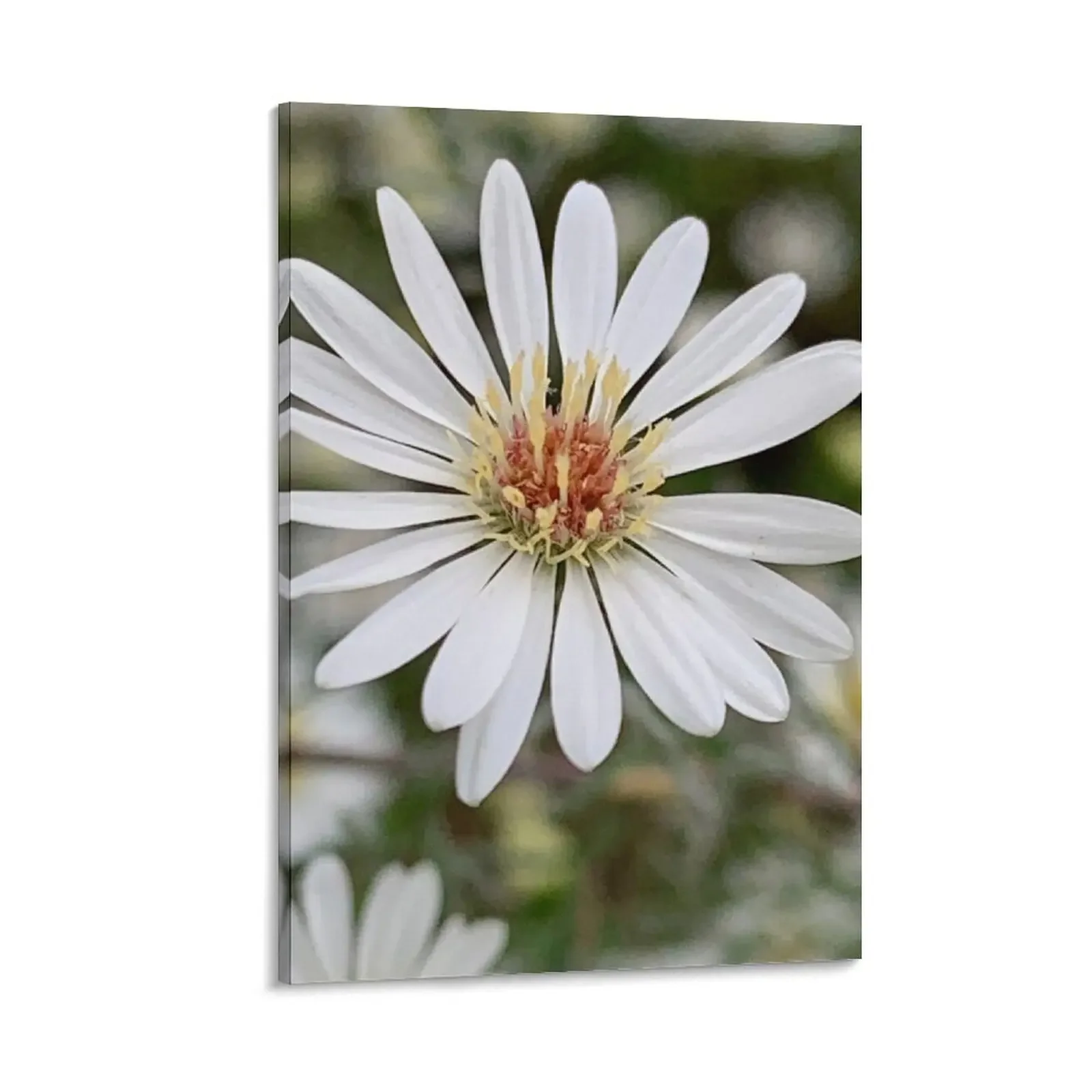 Delicate White Flower Canvas Painting Home decoration room decors aesthetic art mural
Delicate White Flower Canvas Painting Home decoration room decors aesthetic art mural