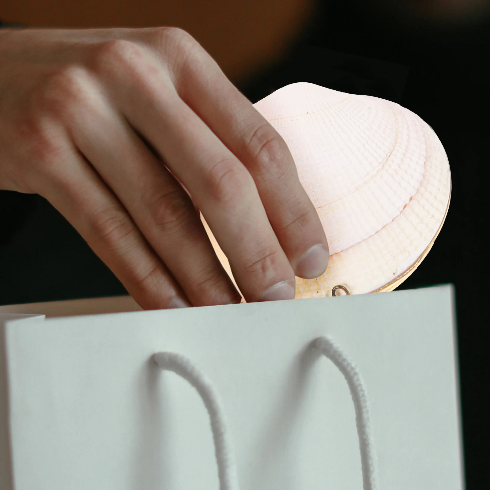 7 -8cm Shell Jewelry Box Seashell Container Dish Clam Holder Boxjewelry Case Seashells Boxes Trinket Necklace
7 -8cm Shell Jewelry Box Seashell Container Dish Clam Holder Boxjewelry Case Seashells Boxes Trinket Necklace