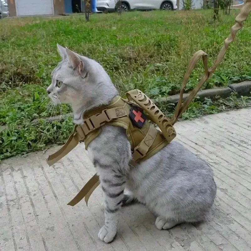 Тактический жилет для кошек регулируемый военный нагрудный ремень для котят специальный жилет для прогулок тренировочные аксессуары для домашних питомцев для собак и кошек
Тактический жилет для кошек регулируемый военный нагрудный ремень для котят специальный жилет для прогулок тренировочные аксессуары для домашних питомцев для собак и кошек
