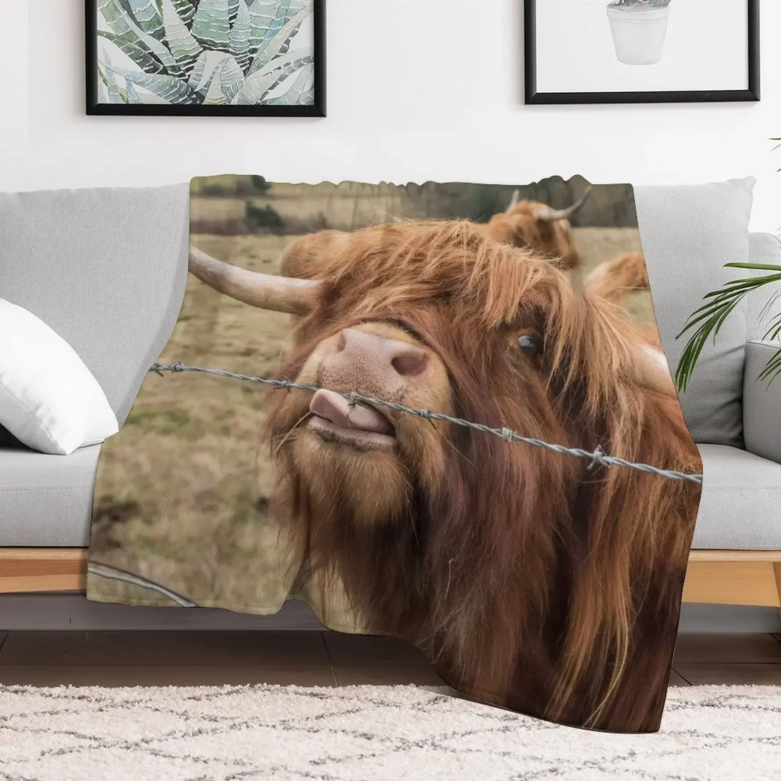 Scottish Highland cow Throw Blanket Thermals For Travel heavy to sleep Multi-Purpose Blankets For Baby Blankets
Scottish Highland cow Throw Blanket Thermals For Travel heavy to sleep Multi-Purpose Blankets For Baby Blankets