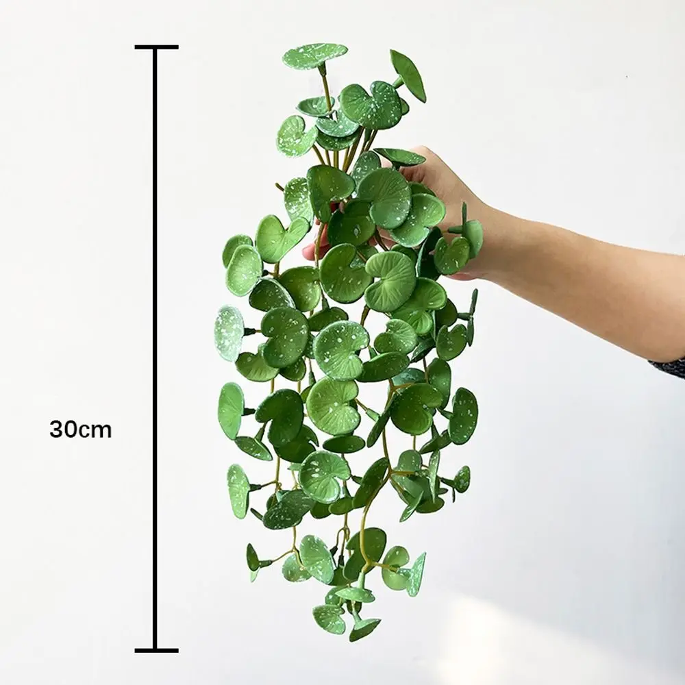 Soft Artificial Copper Coin Grass Plants Realistic Handmade Fake Ivy Leaf Leaves Wall Hanging Mini Bouquet Garden
Soft Artificial Copper Coin Grass Plants Realistic Handmade Fake Ivy Leaf Leaves Wall Hanging Mini Bouquet Garden