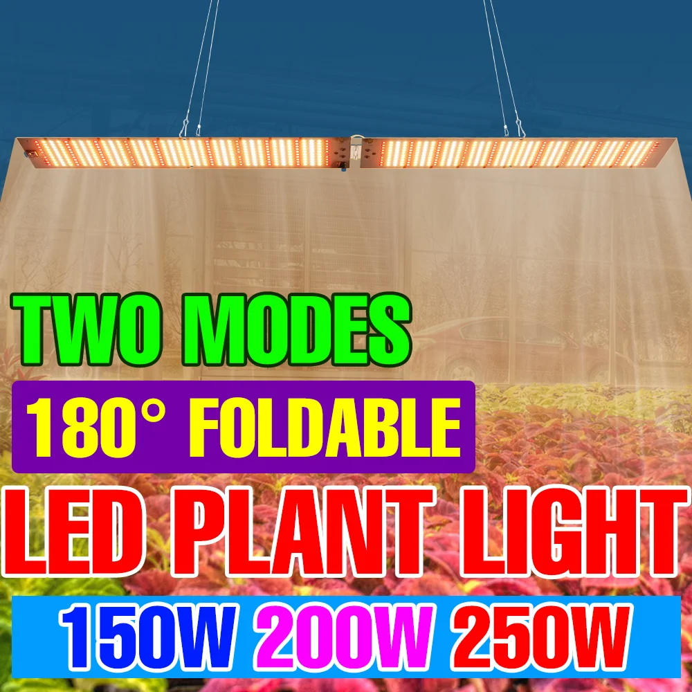 250W LED Grow Lights Full Spectrum AC100-277V Quantum Board Plant Cultivation Light Greenhouse Tent Indoor Veges Fruit Lighting
250W LED Grow Lights Full Spectrum AC100-277V Quantum Board Plant Cultivation Light Greenhouse Tent Indoor Veges Fruit Lighting