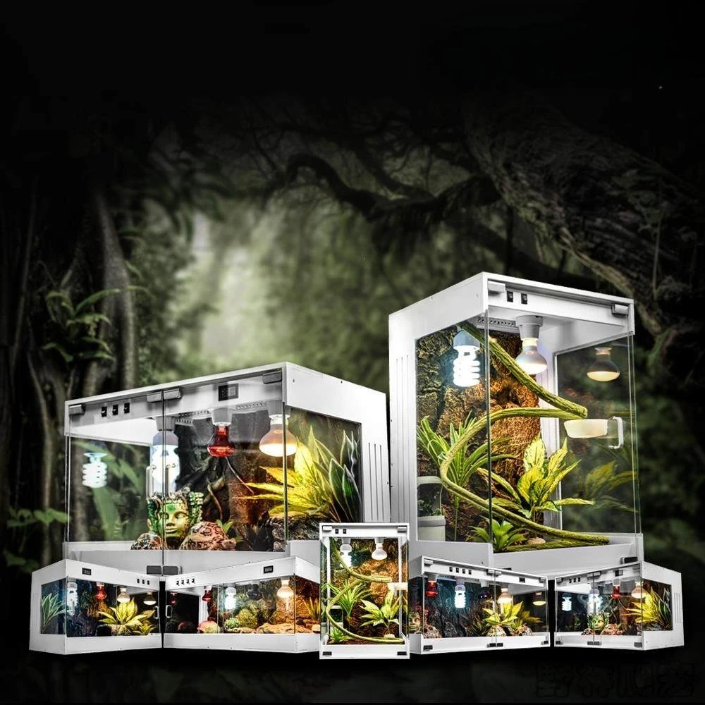 Climbing Pet Kennel Lizard Incubator Pet Turtle Wooden Box PVC Maned Lion Lizard Spotted Sail Blue Tongue Hedgehog Incubator
Climbing Pet Kennel Lizard Incubator Pet Turtle Wooden Box PVC Maned Lion Lizard Spotted Sail Blue Tongue Hedgehog Incubator