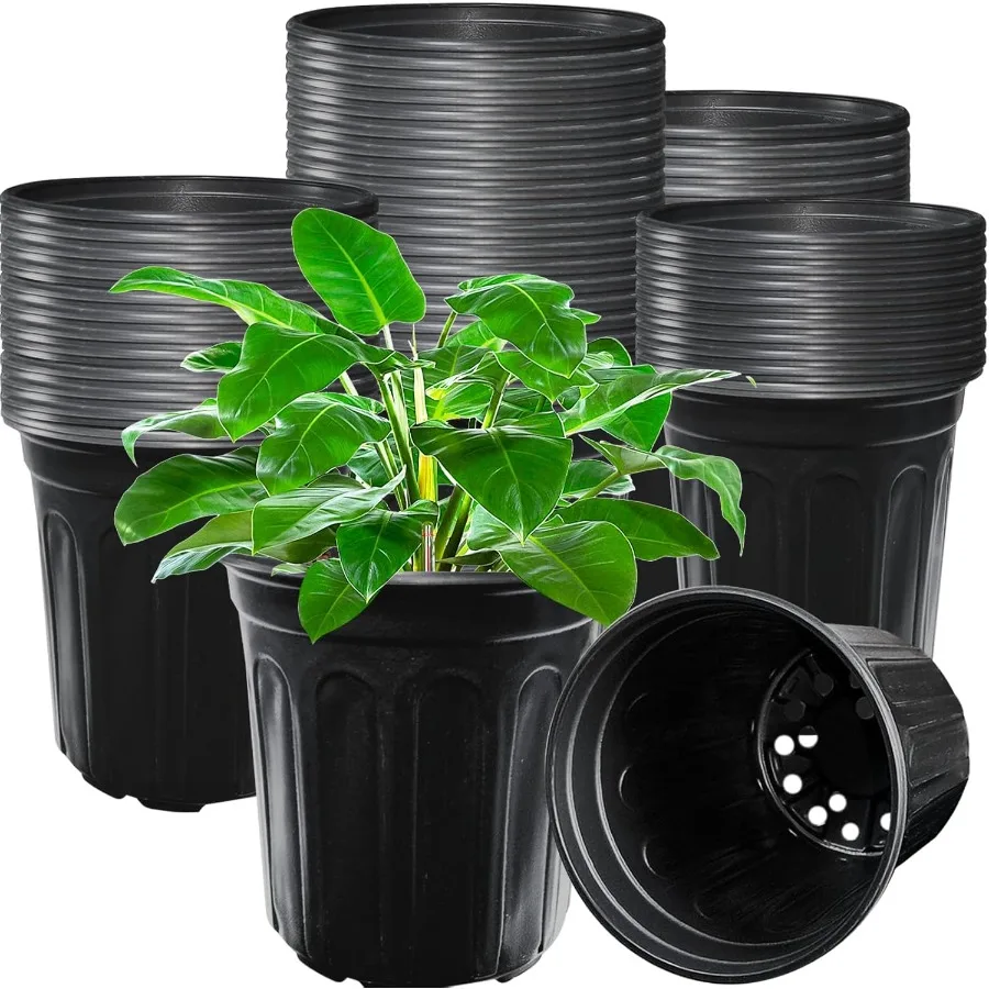 60 Pack 1 Gallon Nursery Plant PotsThickened ible Plastic Seedling Pot with Holes Flower Plant Container for Succulents Cutting
60 Pack 1 Gallon Nursery Plant PotsThickened ible Plastic Seedling Pot with Holes Flower Plant Container for Succulents Cutting