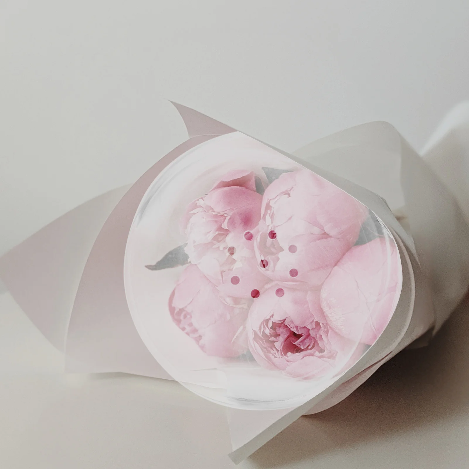 1pcs Acrylic High Transparent Round Medium Size Bouquet Flower Packing Box Clear Ball for Wrapping Gifts Accessories
1pcs Acrylic High Transparent Round Medium Size Bouquet Flower Packing Box Clear Ball for Wrapping Gifts Accessories