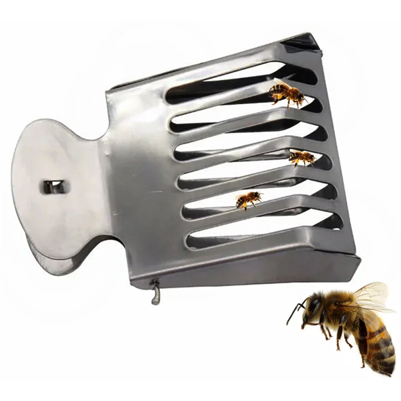 1Pcs Bee Queen Catcher Clip Stainless Steel Cage Beekeeping Equipment Beekeeper Equip Isolation Room Beekeeper Apiculture Tool
1Pcs Bee Queen Catcher Clip Stainless Steel Cage Beekeeping Equipment Beekeeper Equip Isolation Room Beekeeper Apiculture Tool