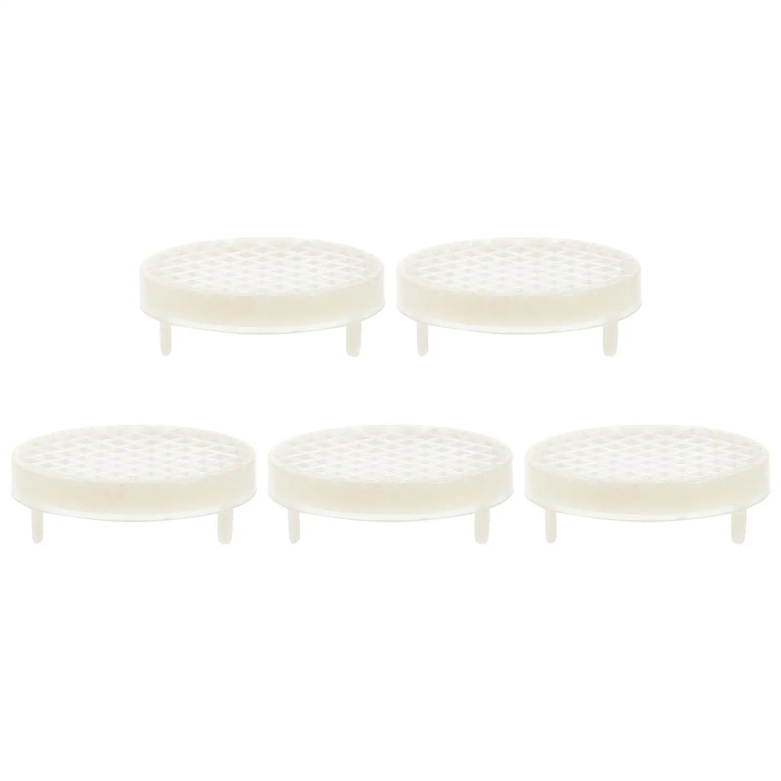 5pcs Cage Beekeeping Tool Durable Safe Use Fine Workmanship Portable Practical Nice Tool Control Panel Spawning
5pcs Cage Beekeeping Tool Durable Safe Use Fine Workmanship Portable Practical Nice Tool Control Panel Spawning