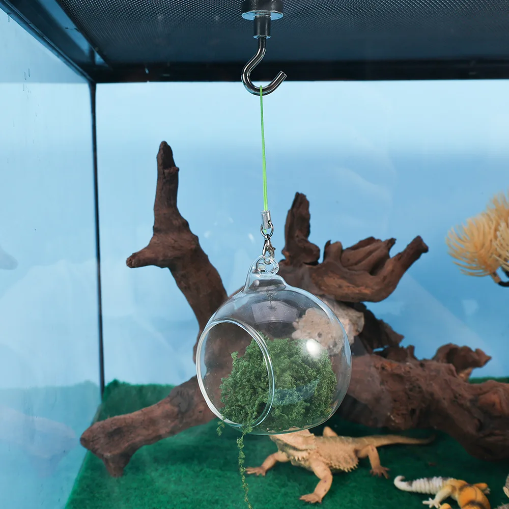 Hanging Glass Jumping Spider Hide Moss Nest Shelter for Small Arboreal Invertebrates Terrarium Decor
Hanging Glass Jumping Spider Hide Moss Nest Shelter for Small Arboreal Invertebrates Terrarium Decor
