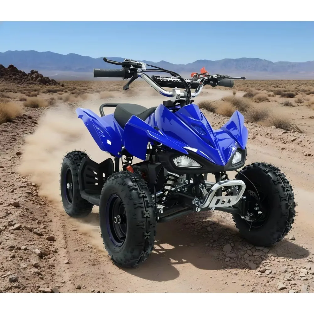 Детский квадроцикл на бензине, 49cc, 50cc, 110cc, 125cc, двухтактный, для детей
Детский квадроцикл на бензине, 49cc, 50cc, 110cc, 125cc, двухтактный, для детей