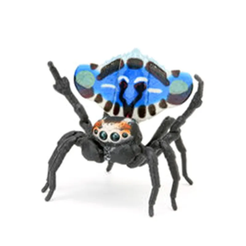 Bandai оригинальный Gashapon биологический атлас имитирует большие насекомые павлин паук фигурку игрушки для мальчиков и девочек детский подарок
Bandai оригинальный Gashapon биологический атлас имитирует большие насекомые павлин паук фигурку игрушки для мальчиков и девочек детский подарок