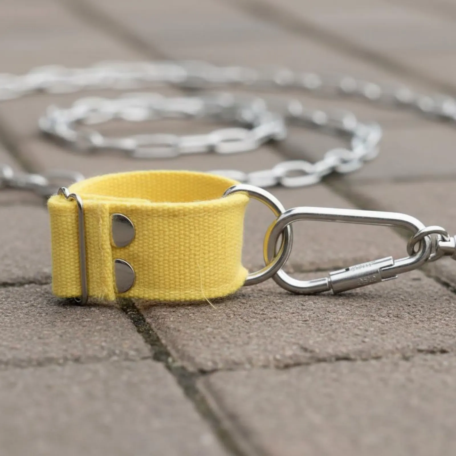 Foot Strap Leash Easy to Use Duck Leash Duck Harness Portable Chicken Harness Comfortable for Farm
Foot Strap Leash Easy to Use Duck Leash Duck Harness Portable Chicken Harness Comfortable for Farm