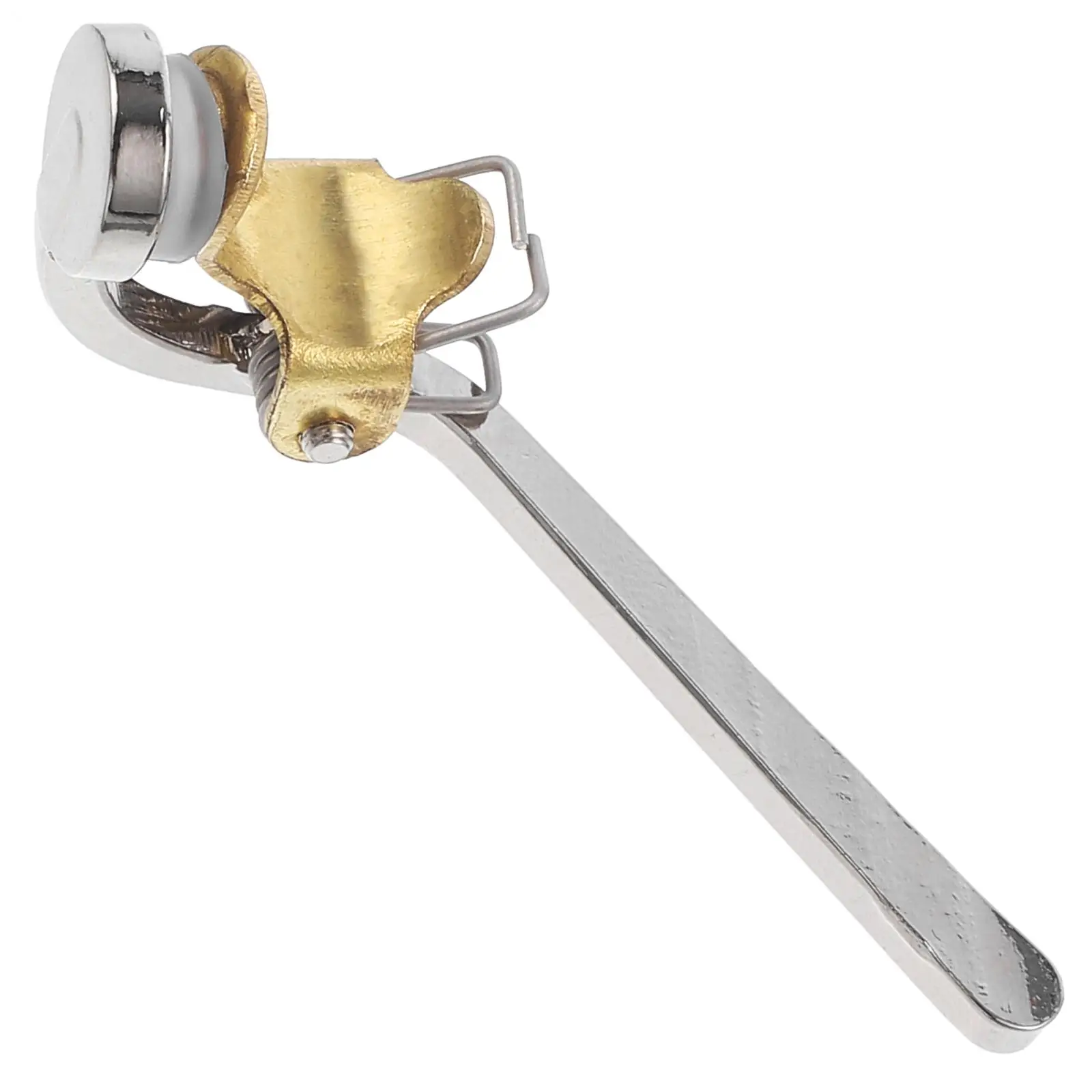 2Pcs Water Key Replacement For Accessories Brass Drain Valve Button Spring Axle Pad Parts Instrument Components Nickel Plated
2Pcs Water Key Replacement For Accessories Brass Drain Valve Button Spring Axle Pad Parts Instrument Components Nickel Plated