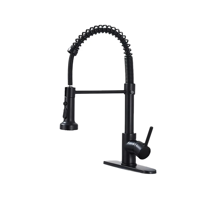 Stainless Steel Black Sprayer Kitchen Faucet Spring Pull Down Kitchen Hot and Cold Faucet Mixer
Stainless Steel Black Sprayer Kitchen Faucet Spring Pull Down Kitchen Hot and Cold Faucet Mixer