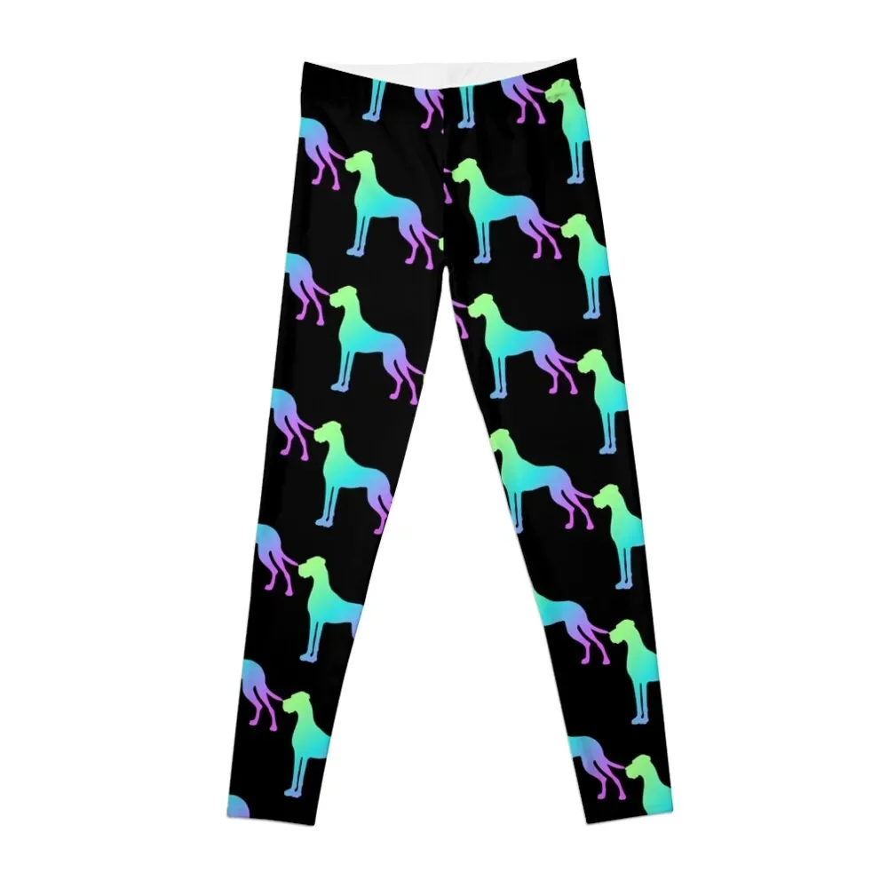 Great Dane Leggings Training pants Women's tights gym's sportswear Womens Leggings
Great Dane Leggings Training pants Women's tights gym's sportswear Womens Leggings