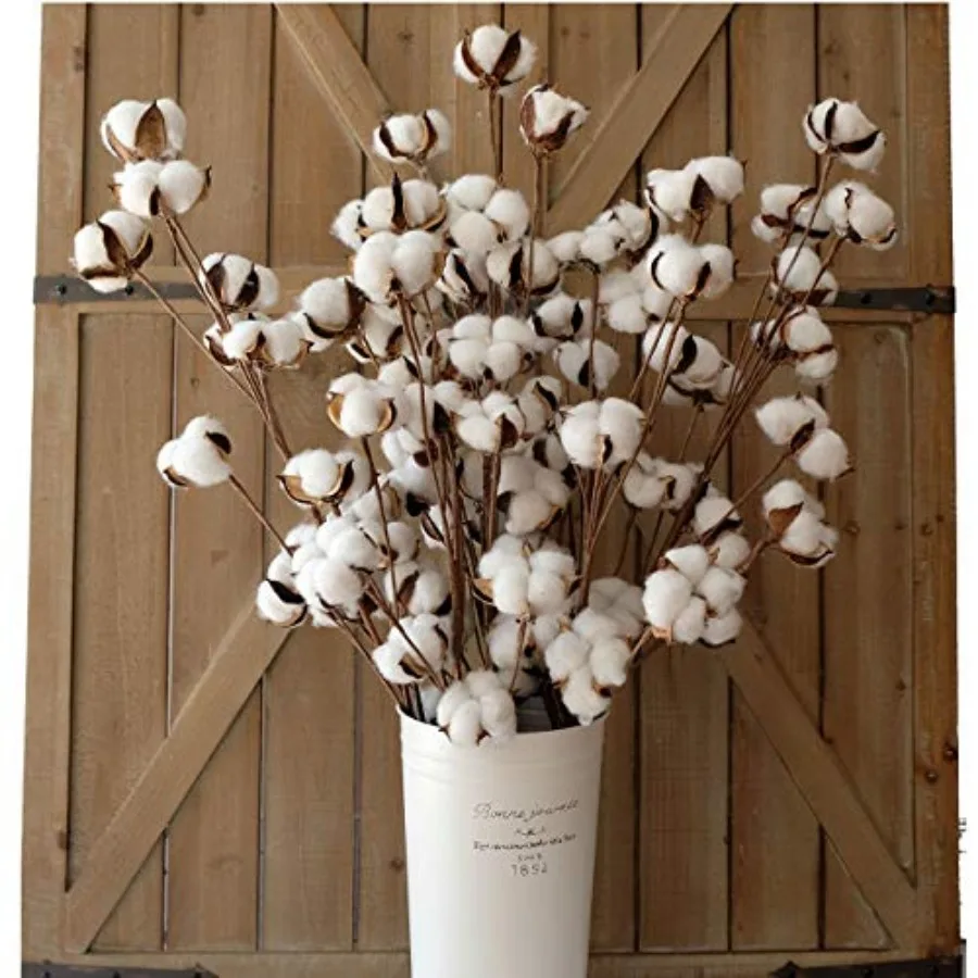 Cotton Stems Decor Branches, Cotton Flowers Plants for Decorations, Dried Flowers for Vase, 6 Pcs-31 Inches Tall - 12 Bolls per
Cotton Stems Decor Branches, Cotton Flowers Plants for Decorations, Dried Flowers for Vase, 6 Pcs-31 Inches Tall - 12 Bolls per