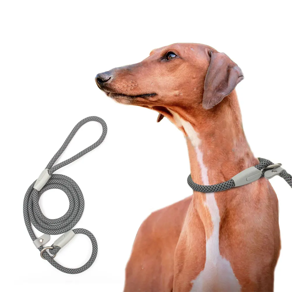Dog Training Leashes Adjustable Loop Collar Heavy Duty Slip Lead Rope For Small Medium Large Dogs Running Leash Pet Supplies
Dog Training Leashes Adjustable Loop Collar Heavy Duty Slip Lead Rope For Small Medium Large Dogs Running Leash Pet Supplies