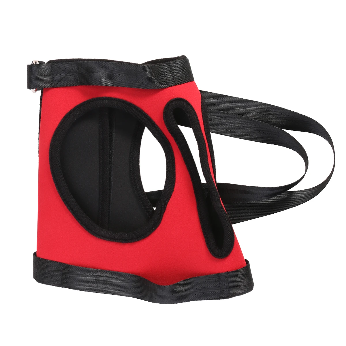 One Shoulder Dog Lift Support Sling Adjustable Pet Rehabilitation Harness Red S Polyester Hip Dysplasia Arthritis Aid Dog Collar
One Shoulder Dog Lift Support Sling Adjustable Pet Rehabilitation Harness Red S Polyester Hip Dysplasia Arthritis Aid Dog Collar