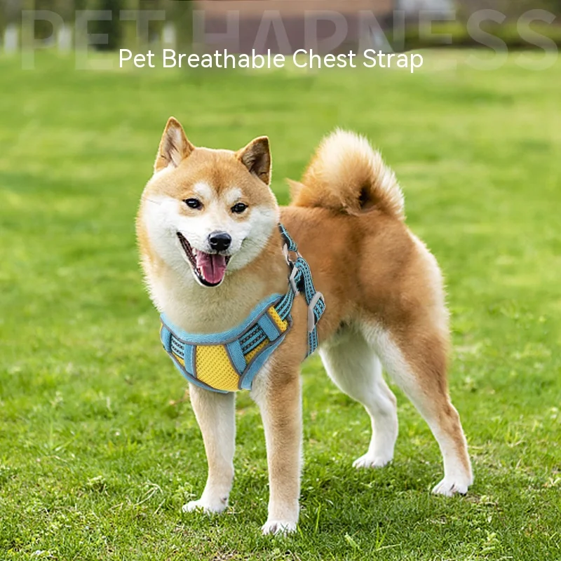 New pet supplies Breathable pet reflective small and medium-sized dog reflective chest strap leash vest-style pet harness
New pet supplies Breathable pet reflective small and medium-sized dog reflective chest strap leash vest-style pet harness