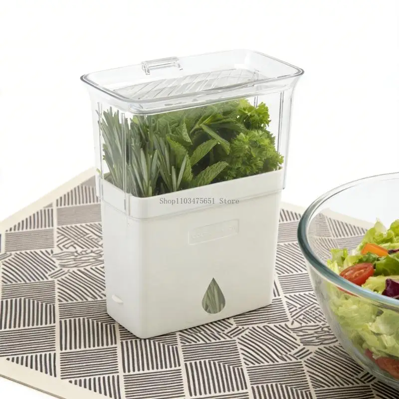 Multipurpose Clear Container for Freshness Vegetables and Herbs Ensuring Longevities for Domestic and Recreational Use
Multipurpose Clear Container for Freshness Vegetables and Herbs Ensuring Longevities for Domestic and Recreational Use