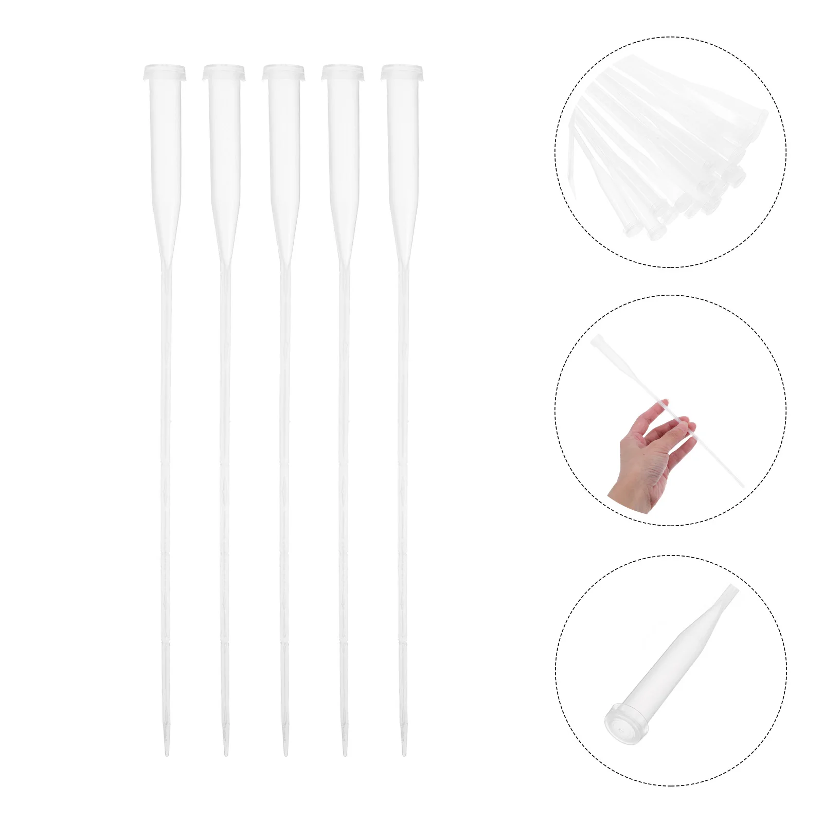 25pcs Small Transparent Floral Water Tubes For Fresh Flowers Reusable Plastic Flower Stem Holders Garden Wedding Decoration
25pcs Small Transparent Floral Water Tubes For Fresh Flowers Reusable Plastic Flower Stem Holders Garden Wedding Decoration