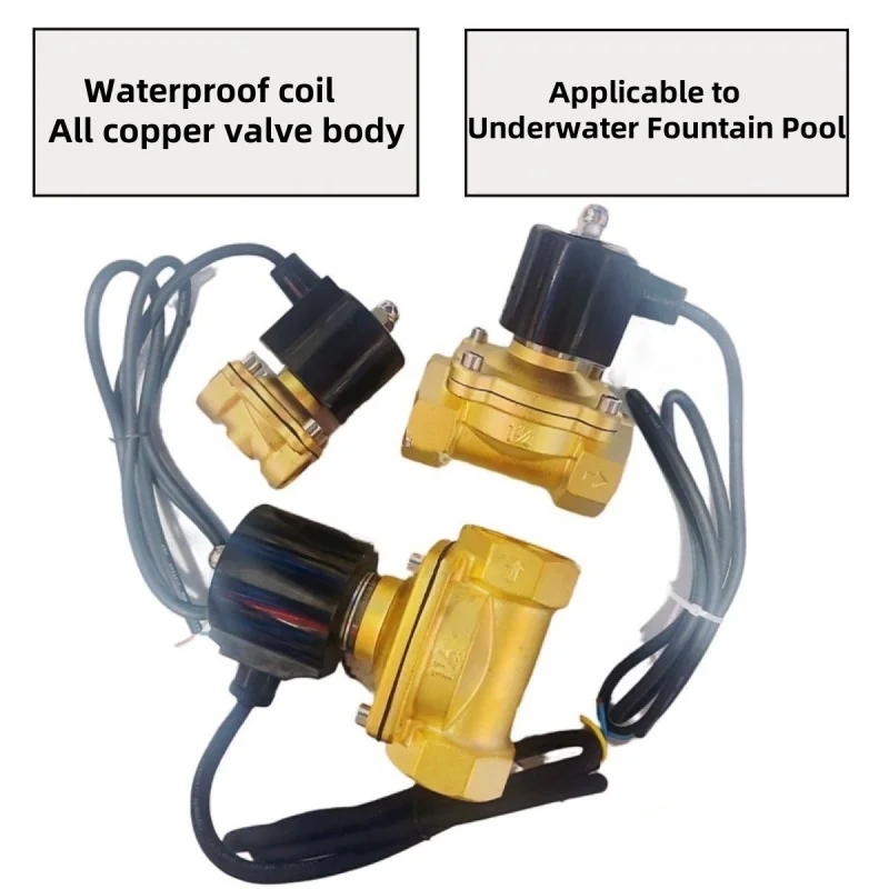 Underwater Fountain Solenoid Valve Brass Normally Closed IP68 Waterproof DN10-50 Electric Control Water Valve AC/DC 12V 24V 220V
Underwater Fountain Solenoid Valve Brass Normally Closed IP68 Waterproof DN10-50 Electric Control Water Valve AC/DC 12V 24V 220V