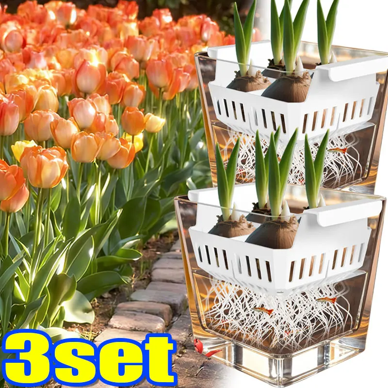 Гидропонный комплект-тюльпан, прозрачный акриловый монитор корня, прочная квадратная раковина, корзина с 4 отверстиями, легкий подоконник, садовый гидропонный горшок
Гидропонный комплект-тюльпан, прозрачный акриловый монитор корня, прочная квадратная раковина, корзина с 4 отверстиями, легкий подоконник, садовый гидропонный горшок