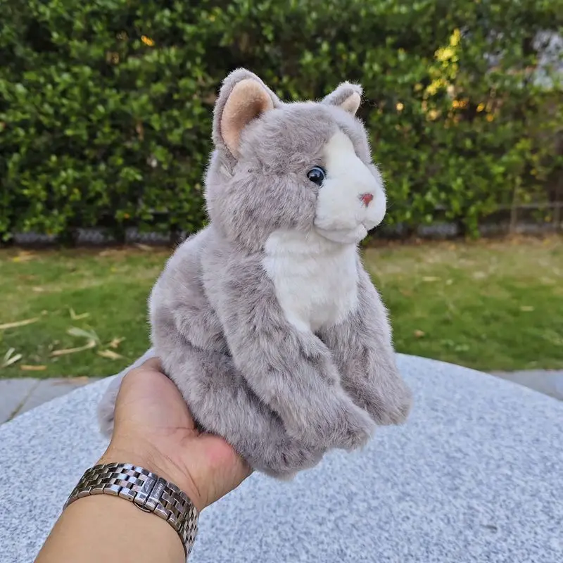 Simulation Small Gray Cat Doll Plush Super Cute Cat Toy Lifelike Animals Simulation Stuffed Doll Kawaii Toy Gifts
Simulation Small Gray Cat Doll Plush Super Cute Cat Toy Lifelike Animals Simulation Stuffed Doll Kawaii Toy Gifts
