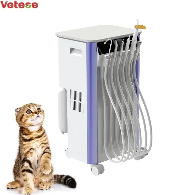 Wholesale Application Widely Veterinary Equipment Denta Chair Unit Portable For Office
Wholesale Application Widely Veterinary Equipment Denta Chair Unit Portable For Office