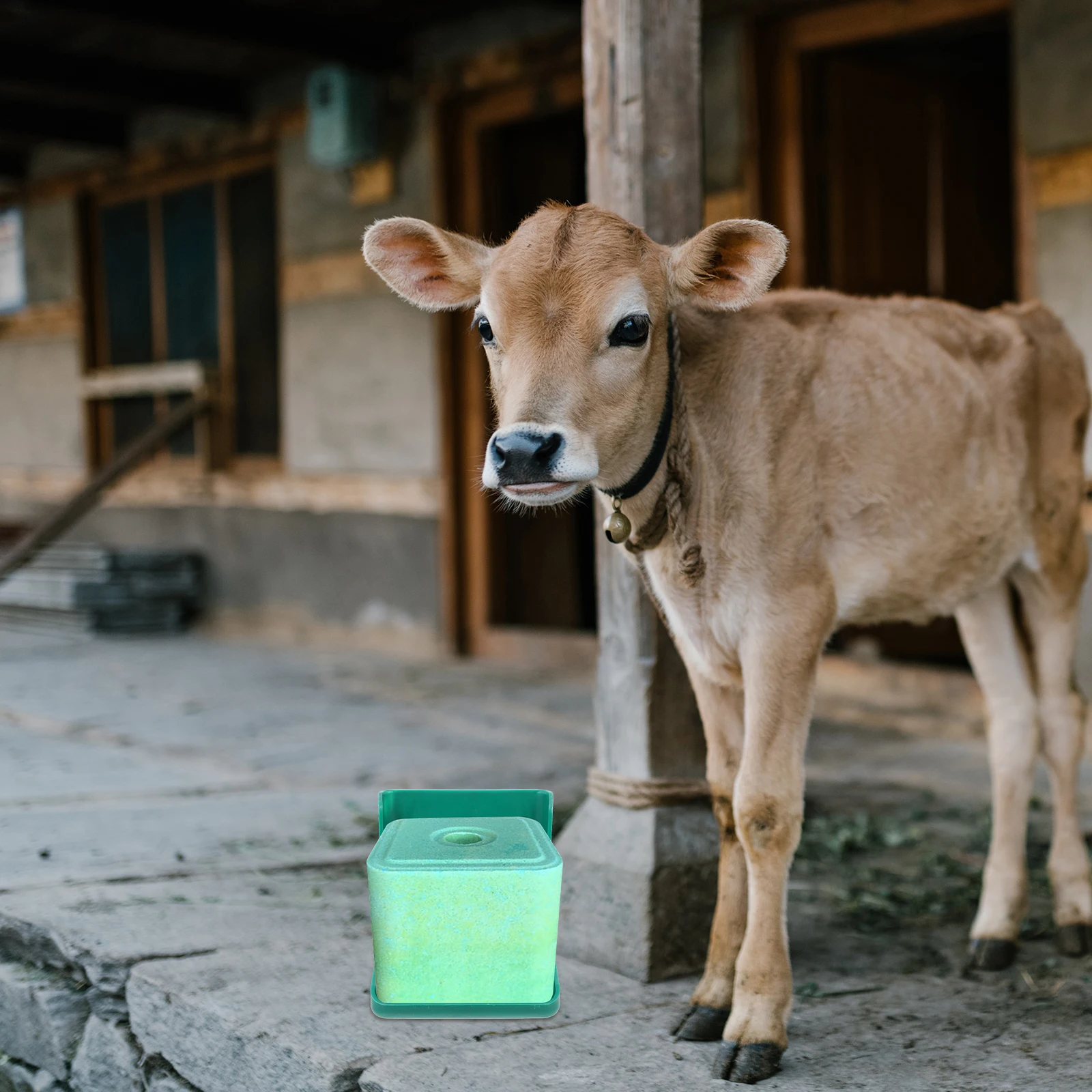 Cattle Sheep Salt Brick Box Durable PP Material Livestock Feeder Nutrition Lick Brick Container Practical Farm Equipment
Cattle Sheep Salt Brick Box Durable PP Material Livestock Feeder Nutrition Lick Brick Container Practical Farm Equipment