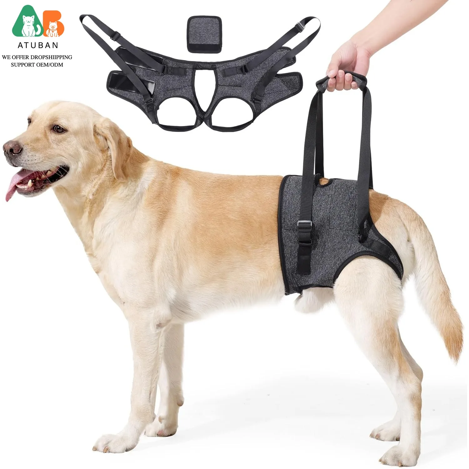 Подъемная шлейка ATUBAN для собак, регулируемая поддержка задних лап для пожилых, травмированных, артритных, инвалидных собак, для поддержания мобильности и реабилитации
Подъемная шлейка ATUBAN для собак, регулируемая поддержка задних лап для пожилых, травмированных, артритных, инвалидных собак, для поддержания мобильности и реабилитации
