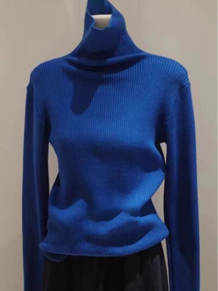 Premium Quality High Neck Klein Blue Knitted Sweater Women's Base Layer T-Shirt Autumn Winter Stackable Neck Top
Premium Quality High Neck Klein Blue Knitted Sweater Women's Base Layer T-Shirt Autumn Winter Stackable Neck Top