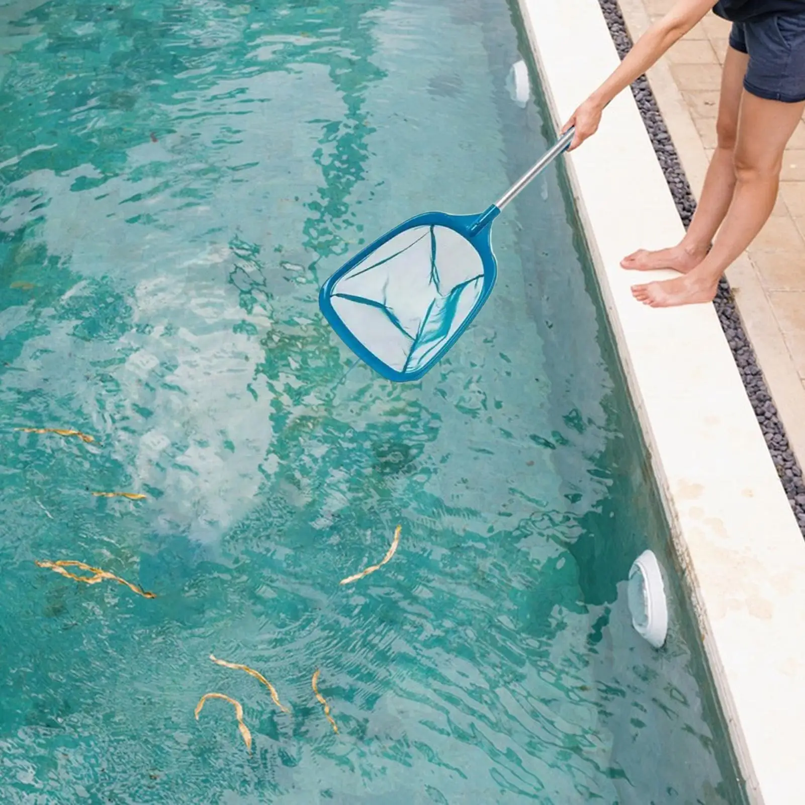 Скиммер для бассейна, сверхмощный профессиональный совок для бассейна, садовые инструменты, оборудование для заднего двора, уличной террасы, спа, рыбалки, патио
Скиммер для бассейна, сверхмощный профессиональный совок для бассейна, садовые инструменты, оборудование для заднего двора, уличной террасы, спа, рыбалки, патио