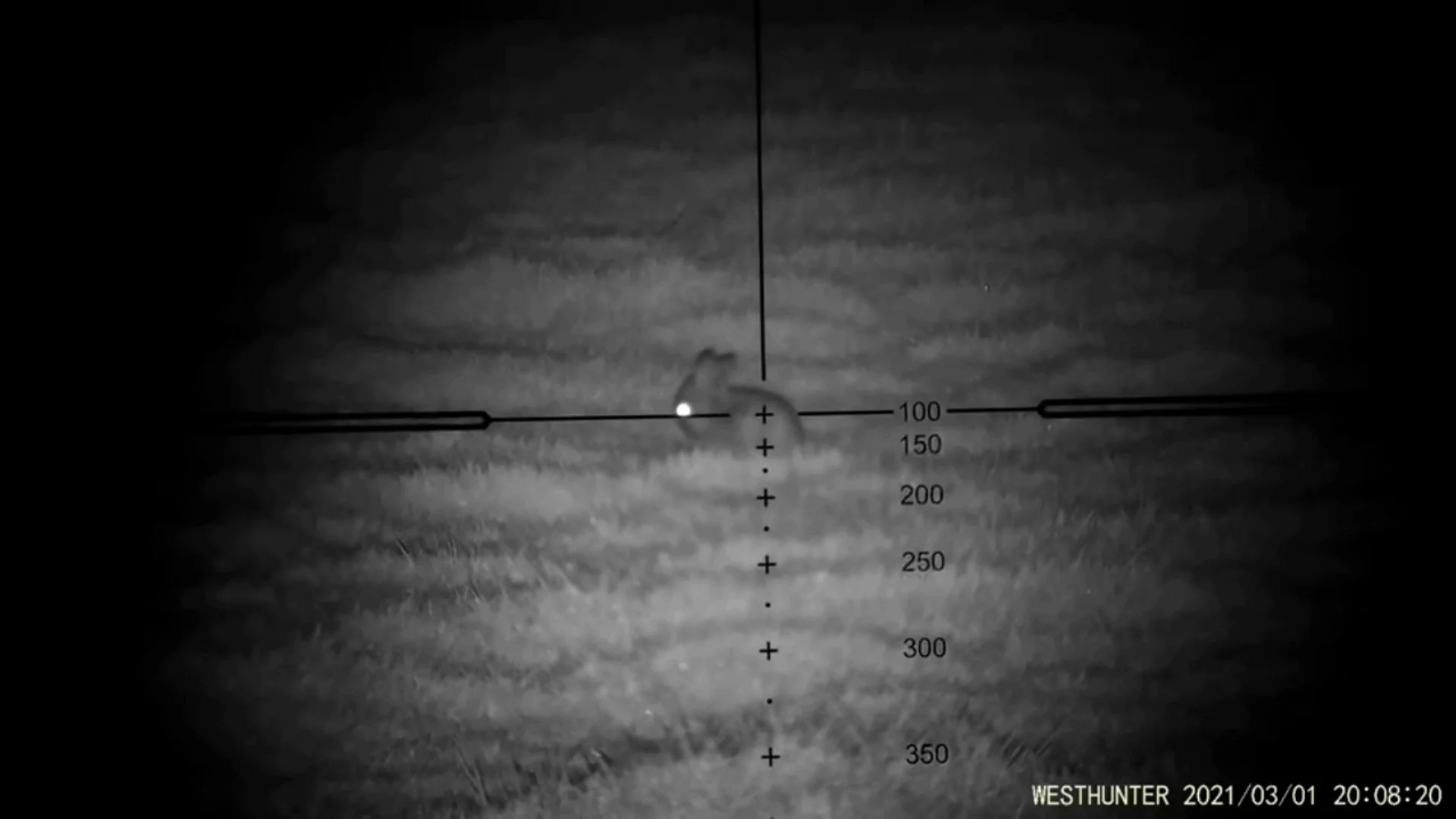 Hot Sale WestHunter NVE20 200m Clear IR Illuminate Digital Night Vision Scope With 38-46mm Universal Adapter For Outdoor Hunting
Hot Sale WestHunter NVE20 200m Clear IR Illuminate Digital Night Vision Scope With 38-46mm Universal Adapter For Outdoor Hunting