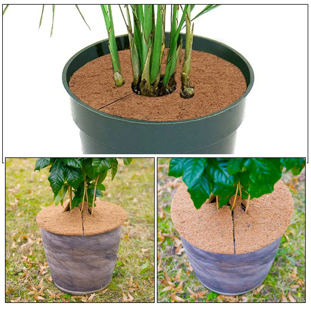 8 Pcs Flowerpot Spacer Coconut Basket Liners Baskets Coir Fiber for Hanging Mat Coating
8 Pcs Flowerpot Spacer Coconut Basket Liners Baskets Coir Fiber for Hanging Mat Coating