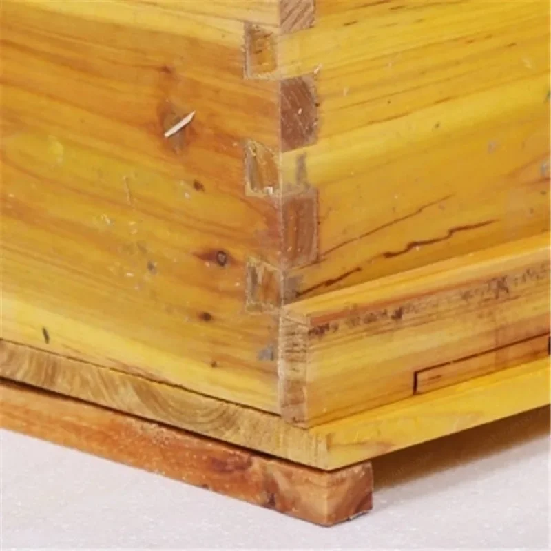 Beeswax Coated Fir Beehive, Seven-Frame Beekeeping Box with Standard Frame, Natural Attract for Bees
Beeswax Coated Fir Beehive, Seven-Frame Beekeeping Box with Standard Frame, Natural Attract for Bees