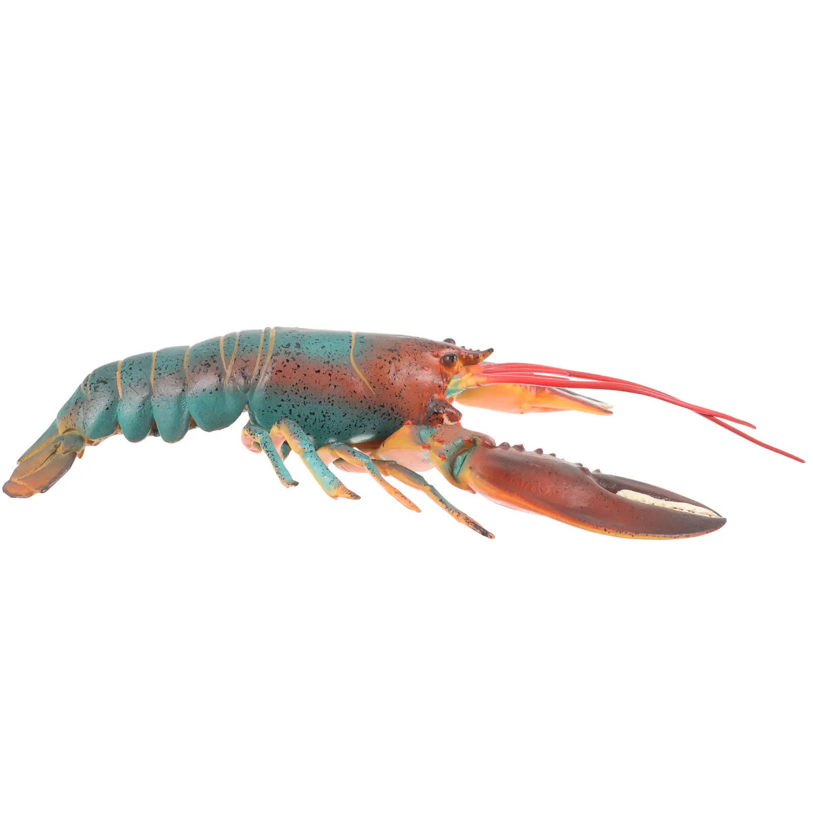 Detailed Plastic Lobster Figure Realistic Simulation Animal Decor for Kids Learning Development Desktop Accent Fish Tank
Detailed Plastic Lobster Figure Realistic Simulation Animal Decor for Kids Learning Development Desktop Accent Fish Tank