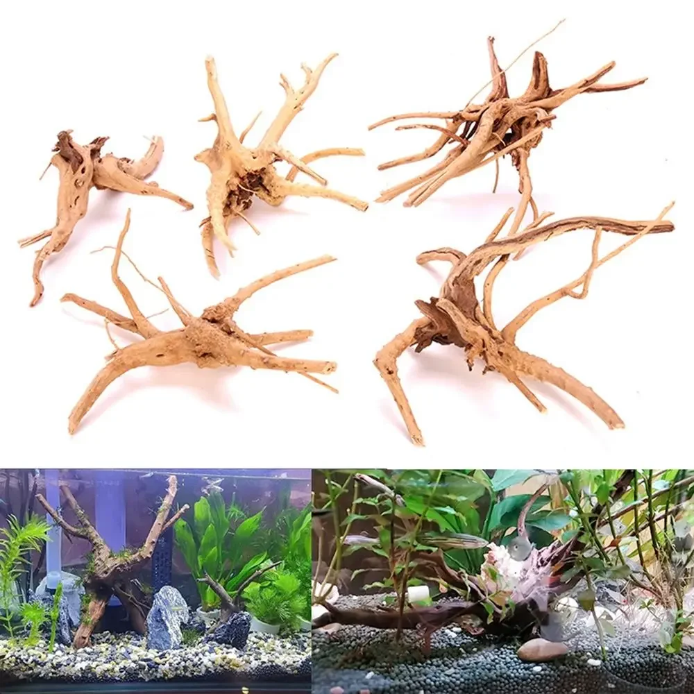 Natural Wooden Fish Tank Decorations Plant Stem Tree Trunk Driftwood Tree Aquarium Fish Landscaping Tree Roots Ornaments
Natural Wooden Fish Tank Decorations Plant Stem Tree Trunk Driftwood Tree Aquarium Fish Landscaping Tree Roots Ornaments