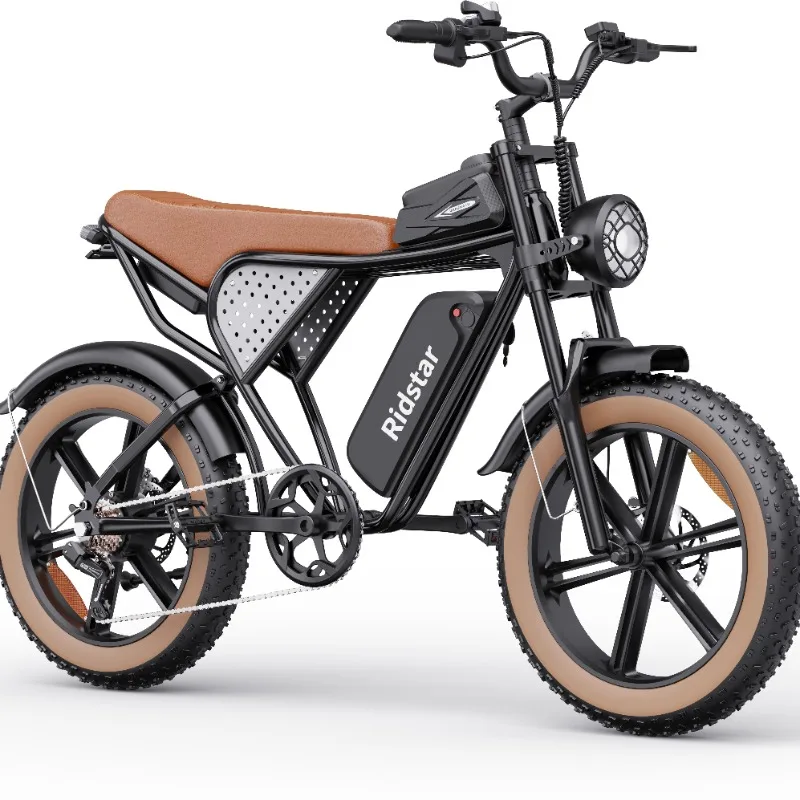 Manufacturer's 20-Inch Carbon Full Suspension Enduro E Bike with LED Turn Signal and Disc Brake Lithium Battery Power Supply
Manufacturer's 20-Inch Carbon Full Suspension Enduro E Bike with LED Turn Signal and Disc Brake Lithium Battery Power Supply