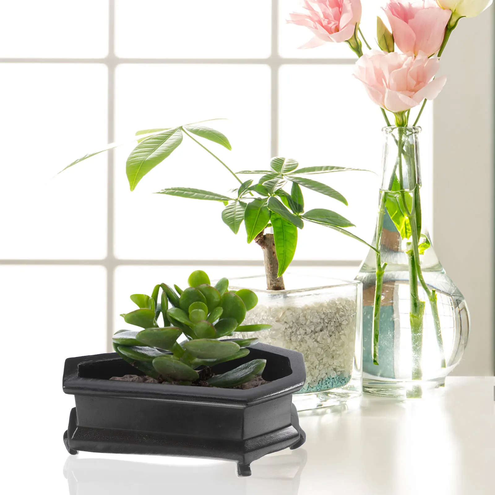 Gothic Flower Pot Cactus Planter Unique Coffin Shaped Decor Modern Resin Bonsai Desk Vase for Flowers Vintage Craft 
Gothic Flower Pot Cactus Planter Unique Coffin Shaped Decor Modern Resin Bonsai Desk Vase for Flowers Vintage Craft