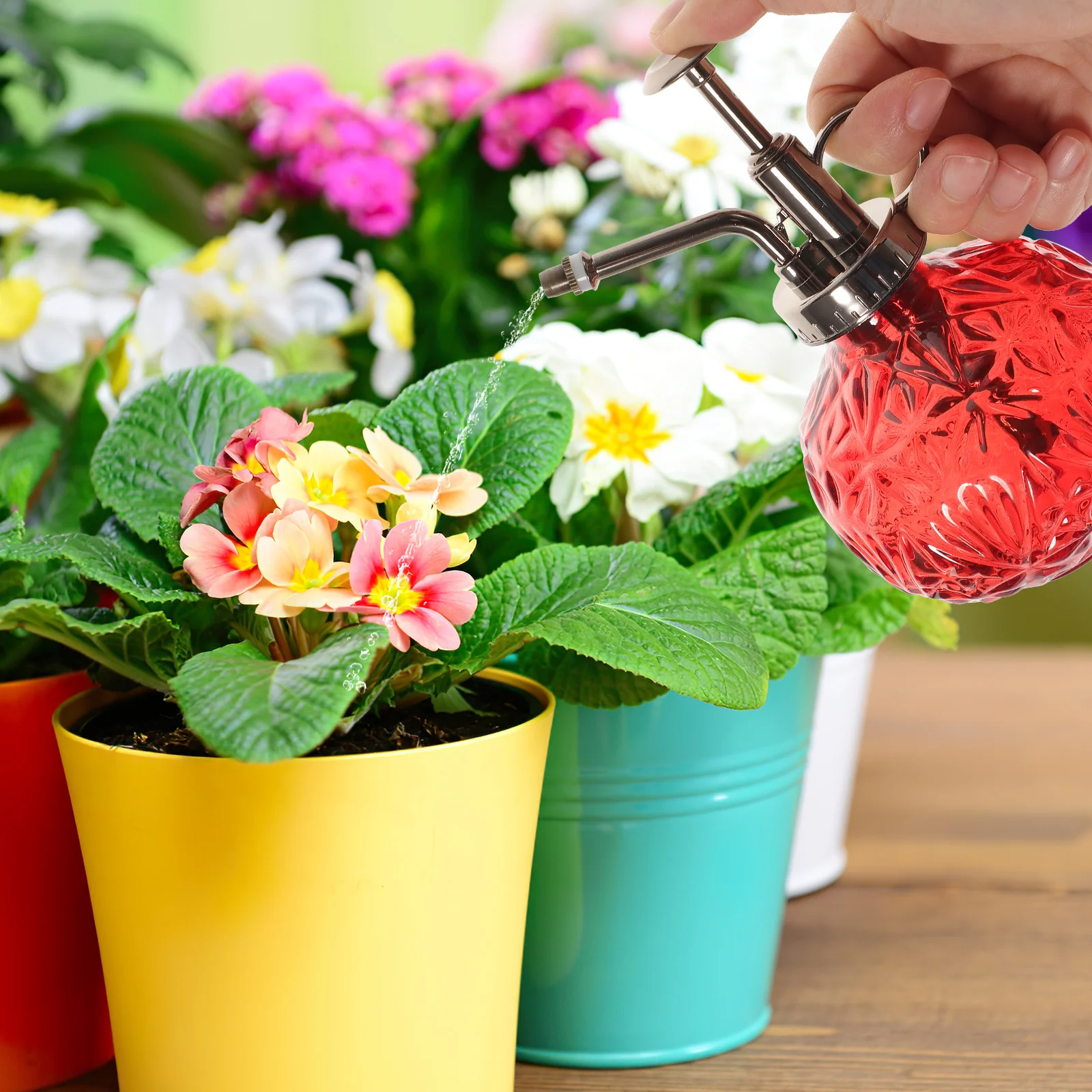 Clear Glass Watering Bottle Vintage Style Thickened Glass Container Plastic Pump Small Spray Bottle for Succulent Fern Orchid
Clear Glass Watering Bottle Vintage Style Thickened Glass Container Plastic Pump Small Spray Bottle for Succulent Fern Orchid