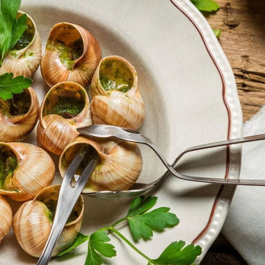 Snail Tong Stainless Steel Shellfish Food Tongs Heat Resistant Rust Proof Kitchen Serving Clip Clamp Stainless Steel Food Tong
Snail Tong Stainless Steel Shellfish Food Tongs Heat Resistant Rust Proof Kitchen Serving Clip Clamp Stainless Steel Food Tong